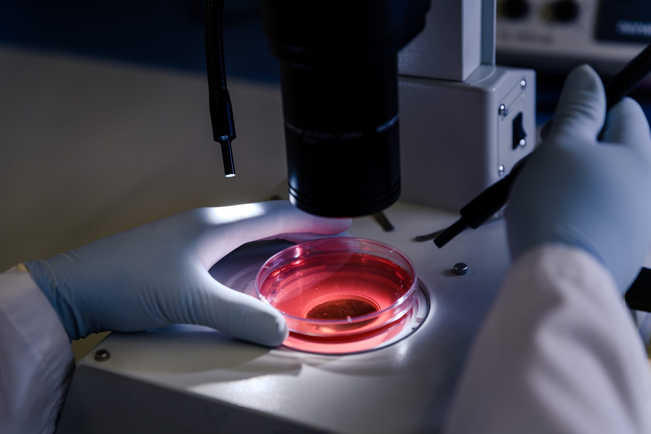 Master of Science in Clinical Embryology